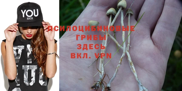 MESCALINE Магас